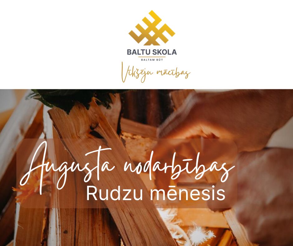 augusts-vikseju-macibas.jpg