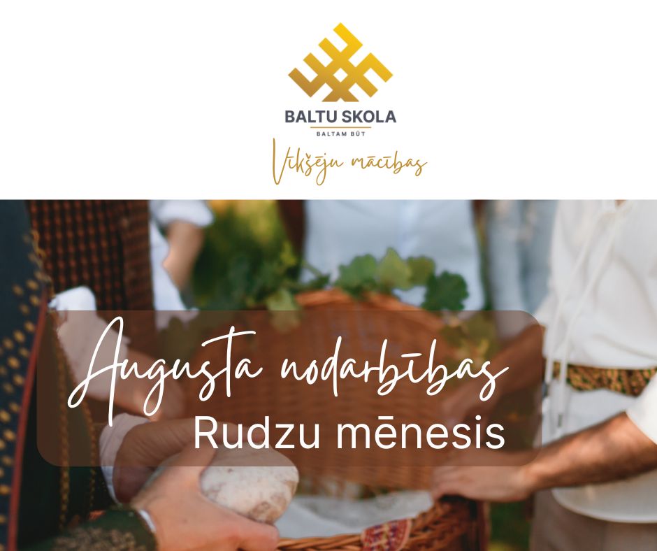 augusts26-vikseju-macibas.jpg