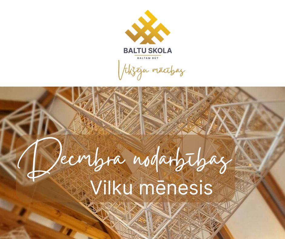 decembris-vikseju-macibas.jpg