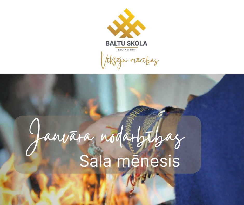 janvaris-vikseju-macibas.jpg
