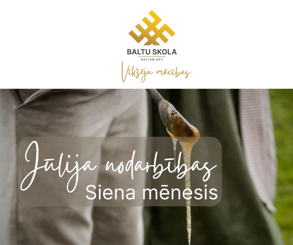 juulijs-vikseju-macibas.jpg