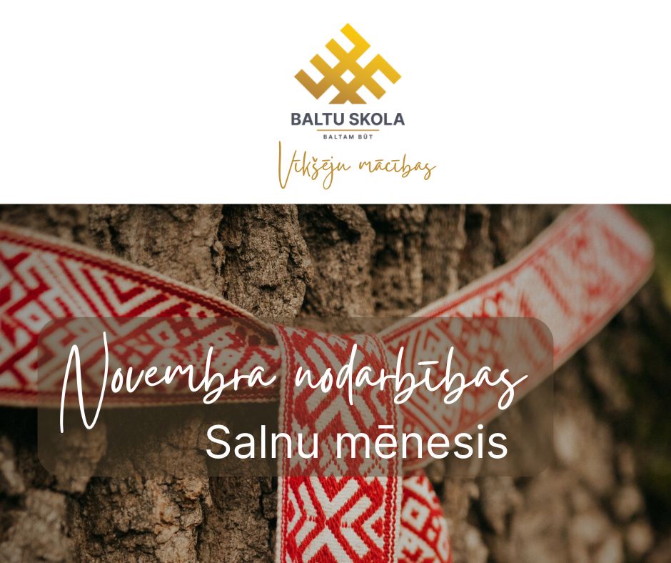novembris-vikseju-macibas.jpg